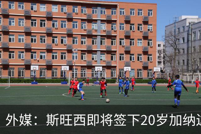 外媒：斯旺西即将签下20岁加纳边锋奥波库，总价超700万欧